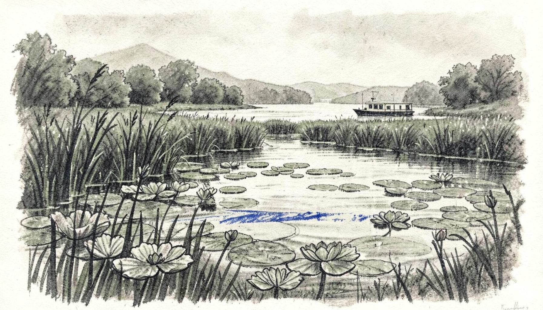 Disegno a carboncino di un paesaggio fluviale del Mincio con canneti, ninfee e un battello elettrico in lontananza, toni grigio-verdi e seppia, atmosfera serena e avvolgente